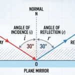 Introduction to Light – Reflection and Refraction